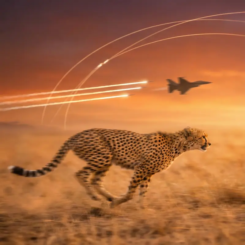 Guepardo corriendo a máxima velocidad - Aviator Juegos de Casino